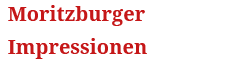 Moritzburger Impressionen