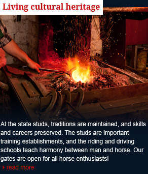 Living cultural heritage