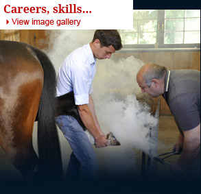 Careers, skills...